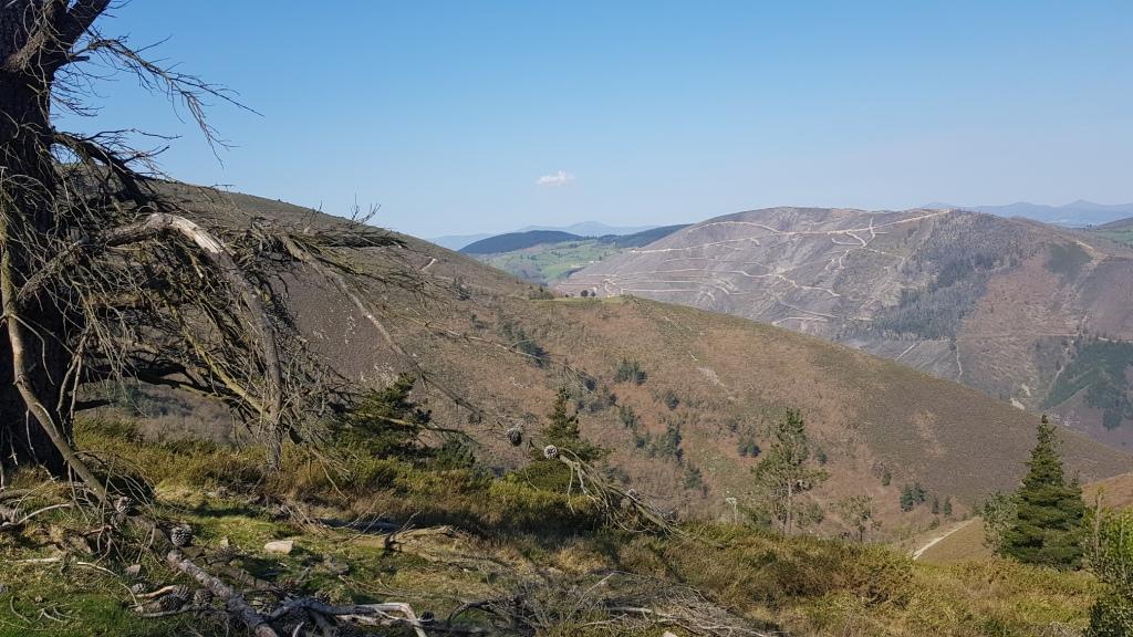 Entre Tineo y Cangas de Narcea (de Tuña a Mieldes, marzo 2019)